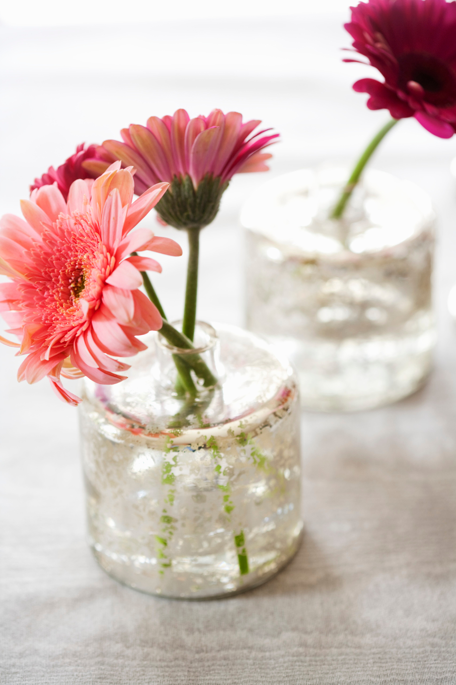 westwing-flores-gerbera1