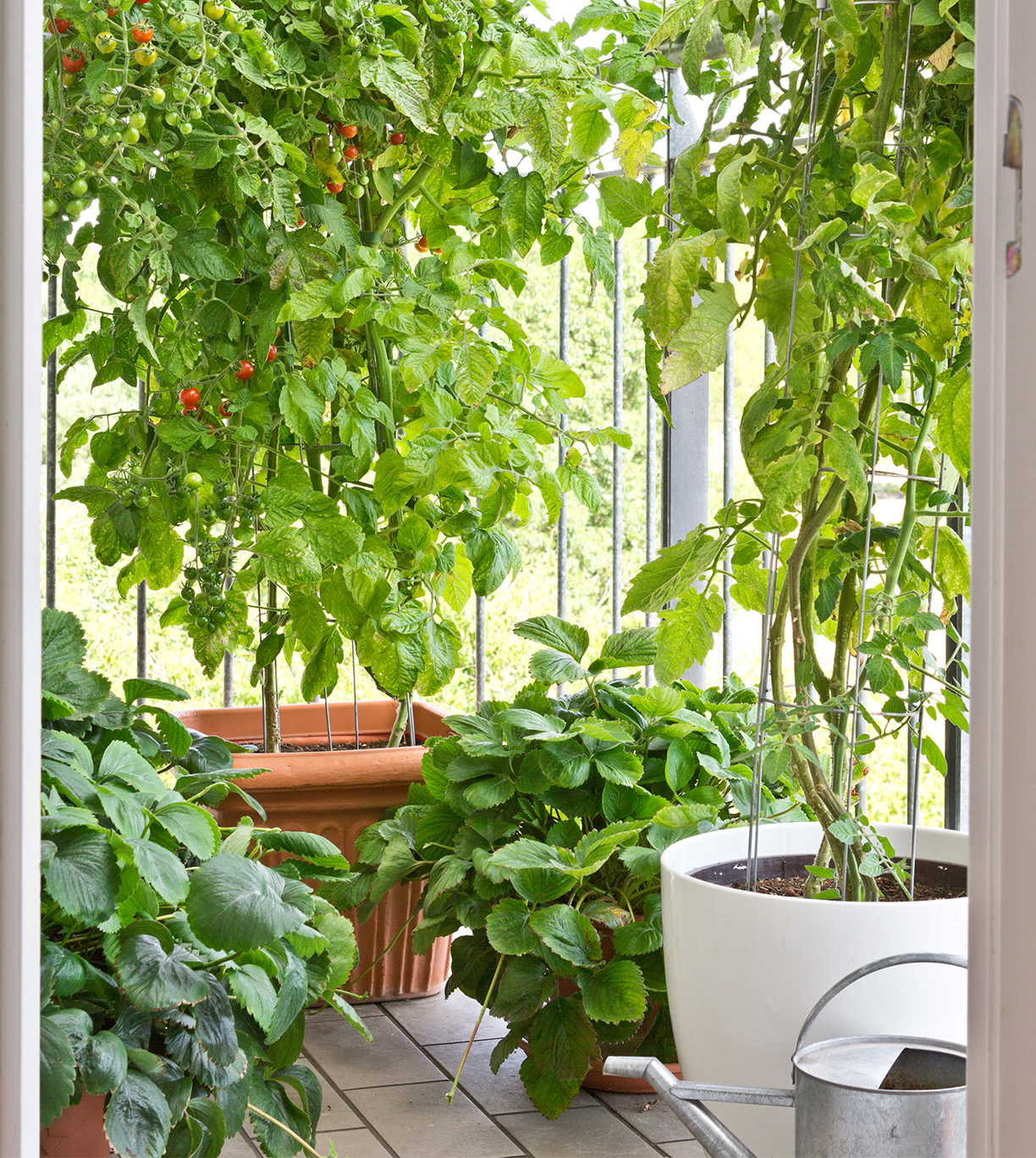 Te-llevamos-al-huerto-urbano-WESTWING-MAGAZINE-4