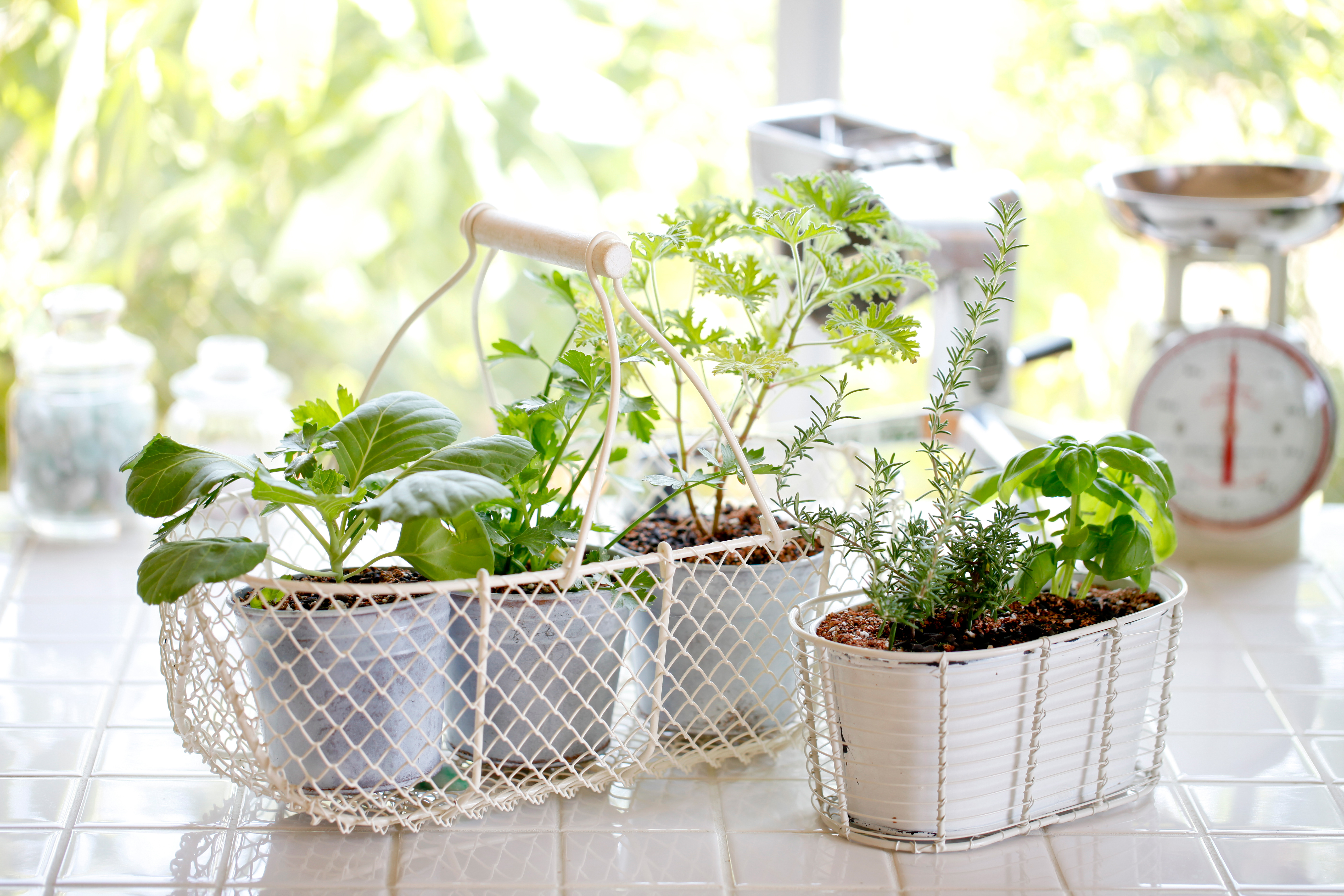 decorar-con-flores- westwing4