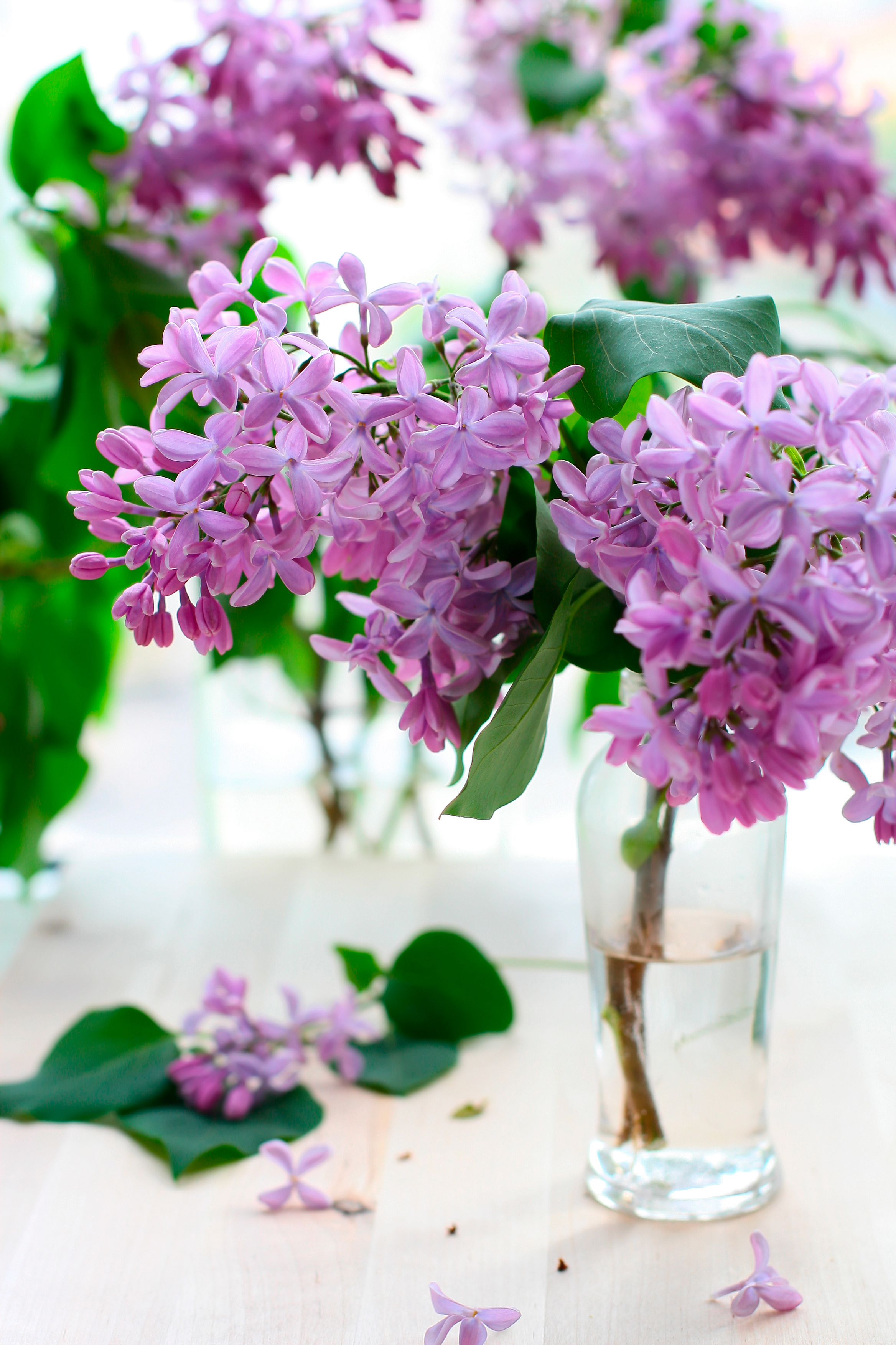 decorar,con,flores, westwing7
