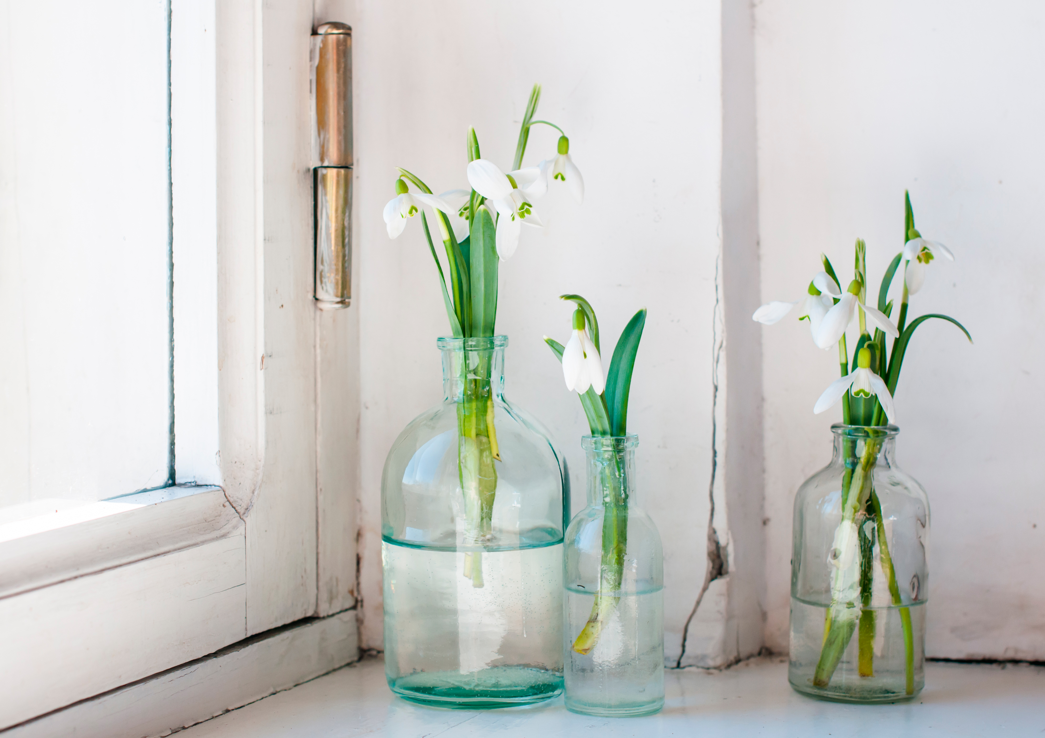 decorar,con,flores, westwing9