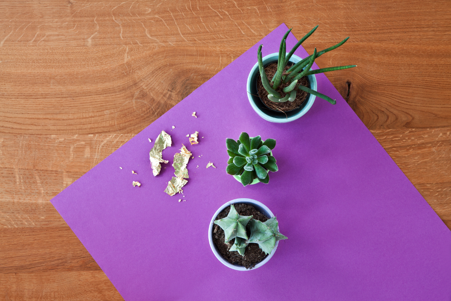 Westwing_DIY-pan-oro-paso6