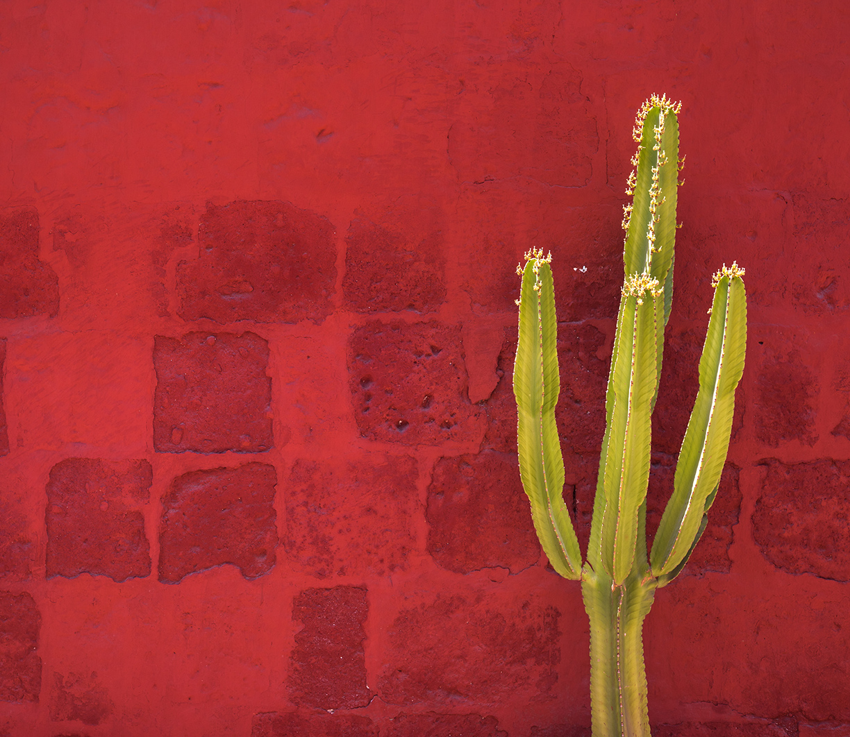 Viva-mexico-WESTWING-MAGAZINE-5