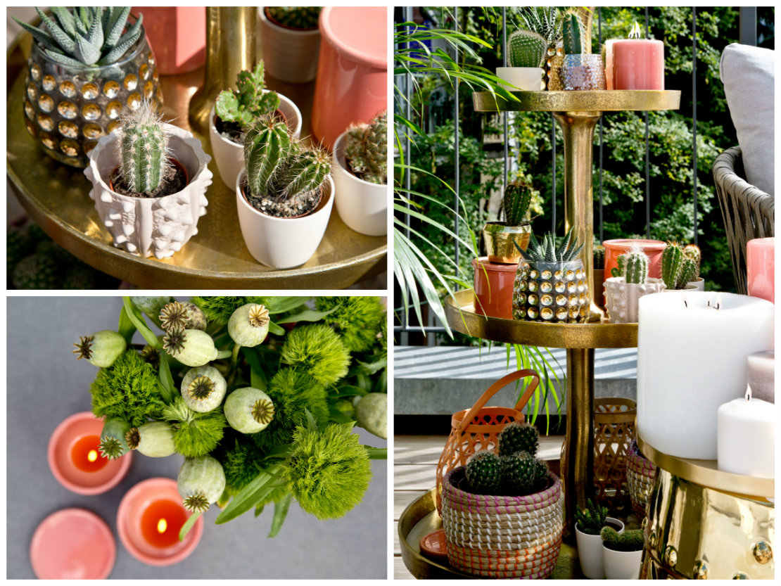 Westwing terraza perfecta verano plantas