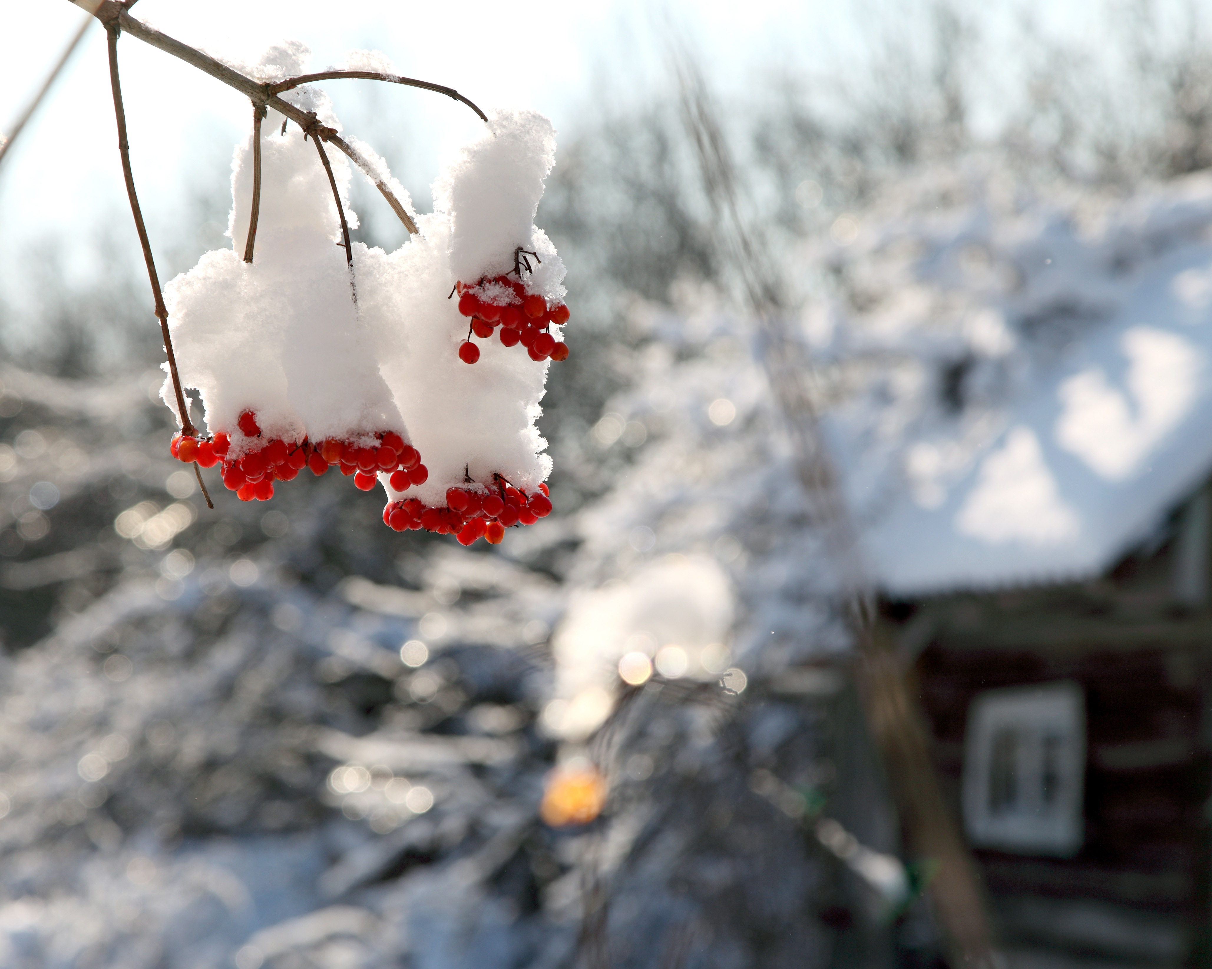 Navidad en las montañas - westwing magazine