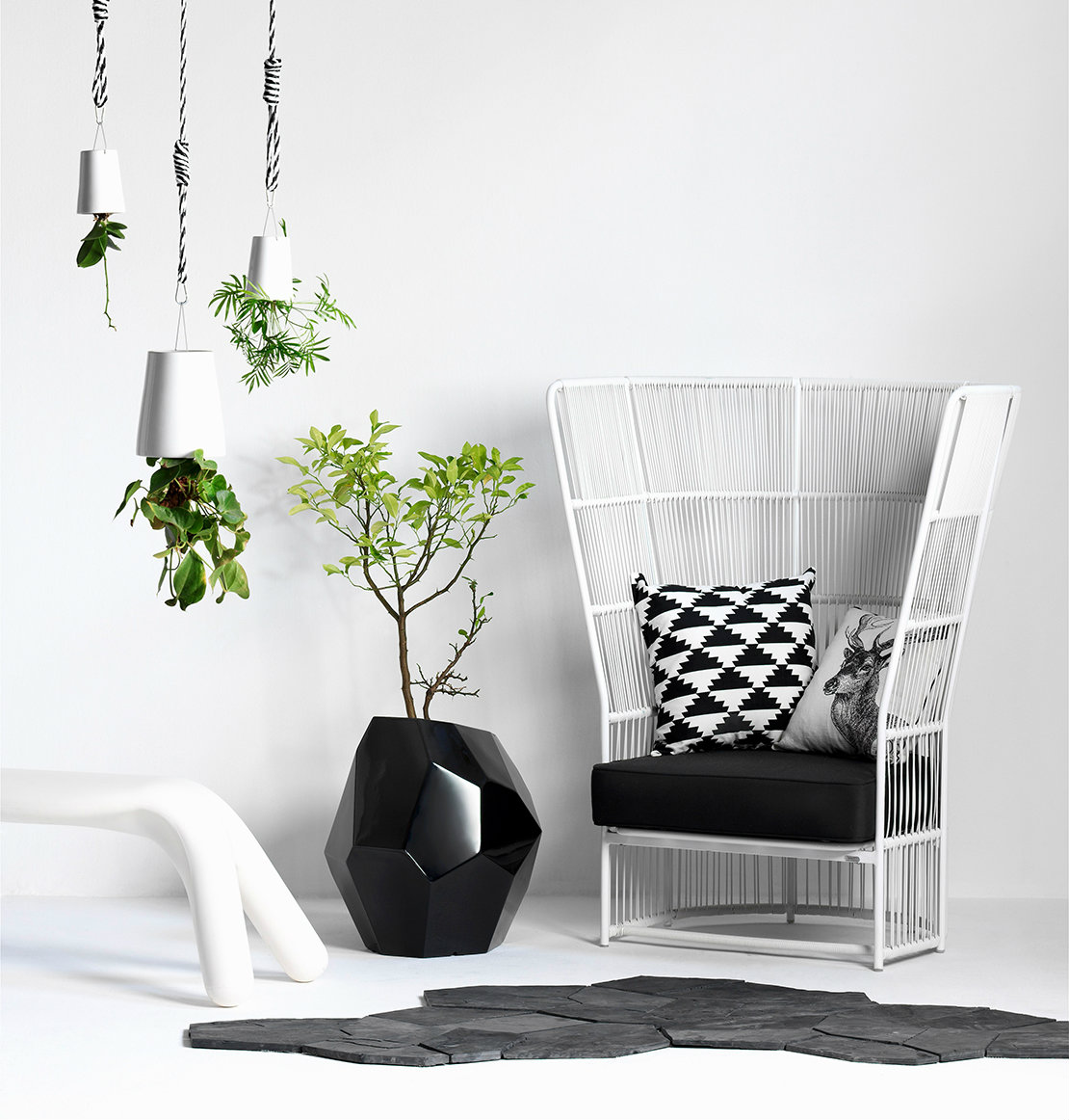 Plan detox para casa plantas