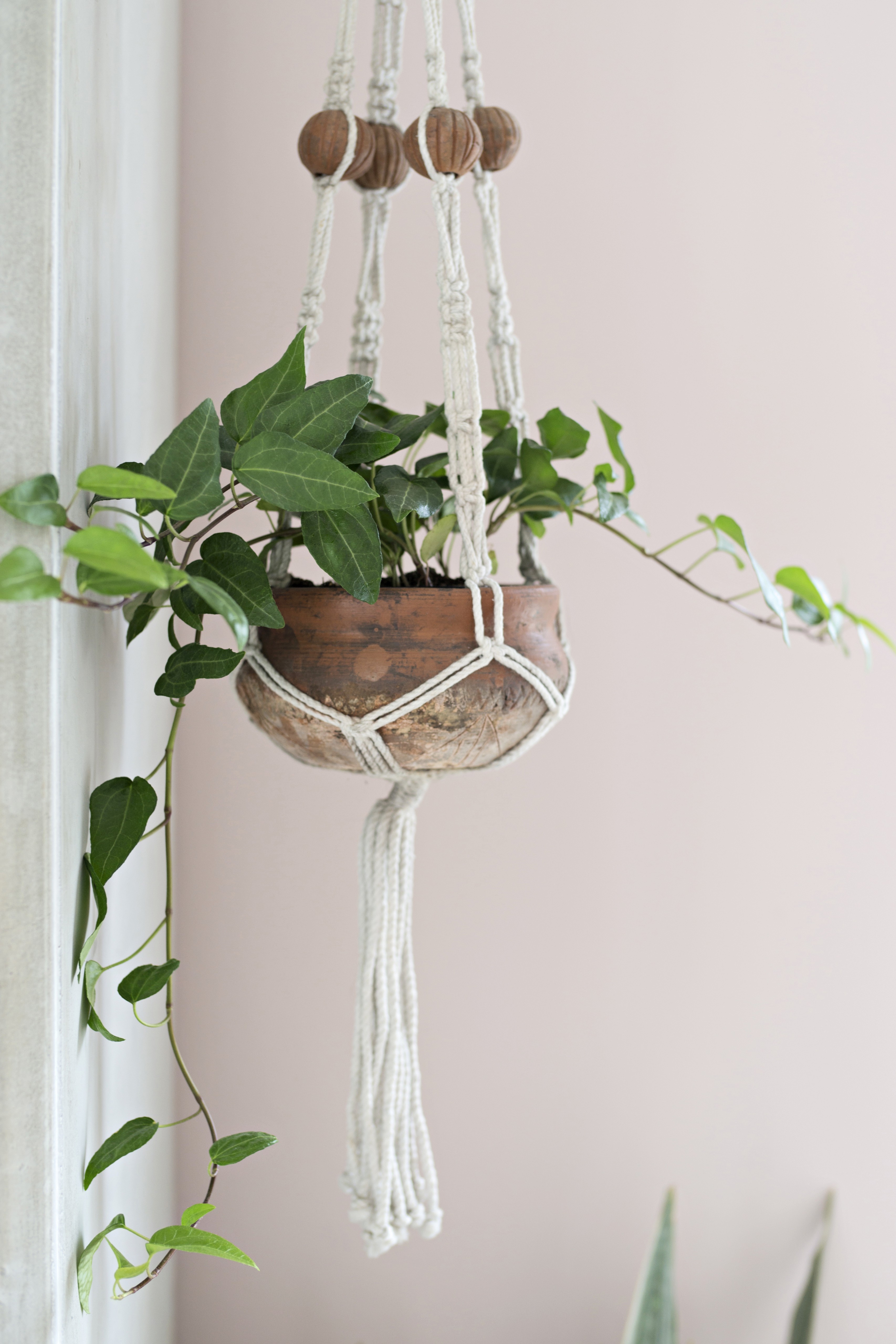 Colgador de macramé para plantas