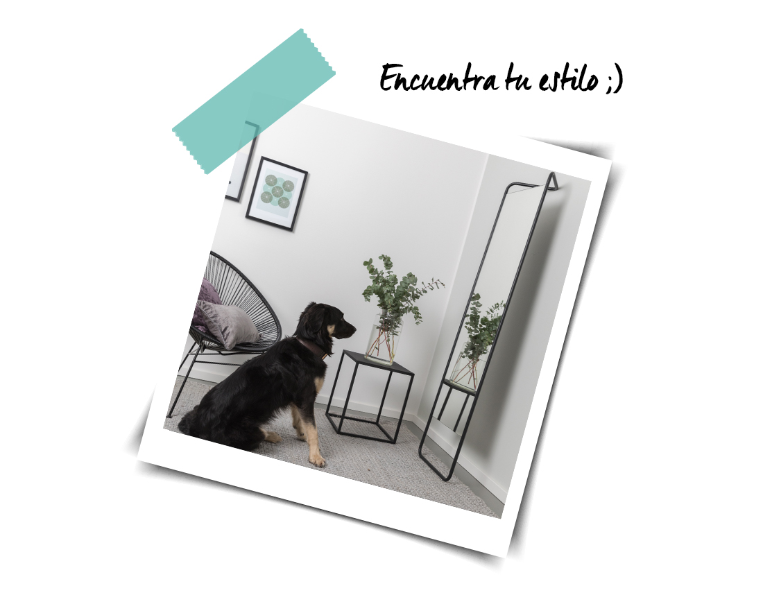 encuentra tu espejo para casa