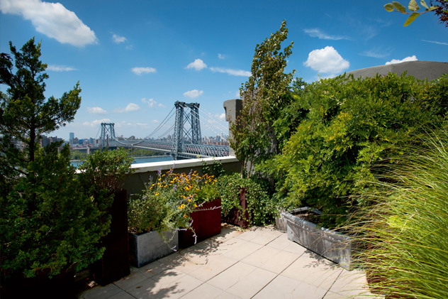 new-york_roof-top-garden_williamsbur