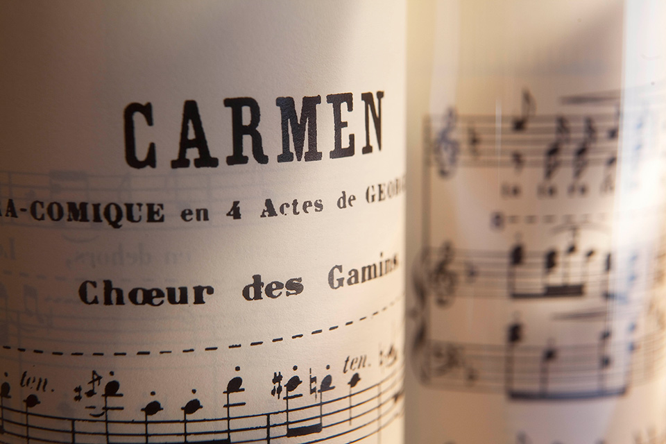 LMF_DuplexCarmen_VI