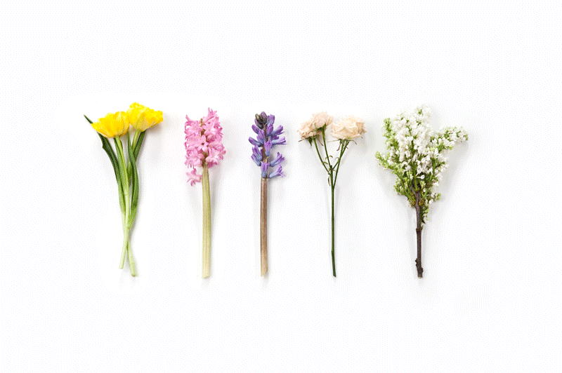 2015-03-01-dekorieren-diy-osterideen-bild