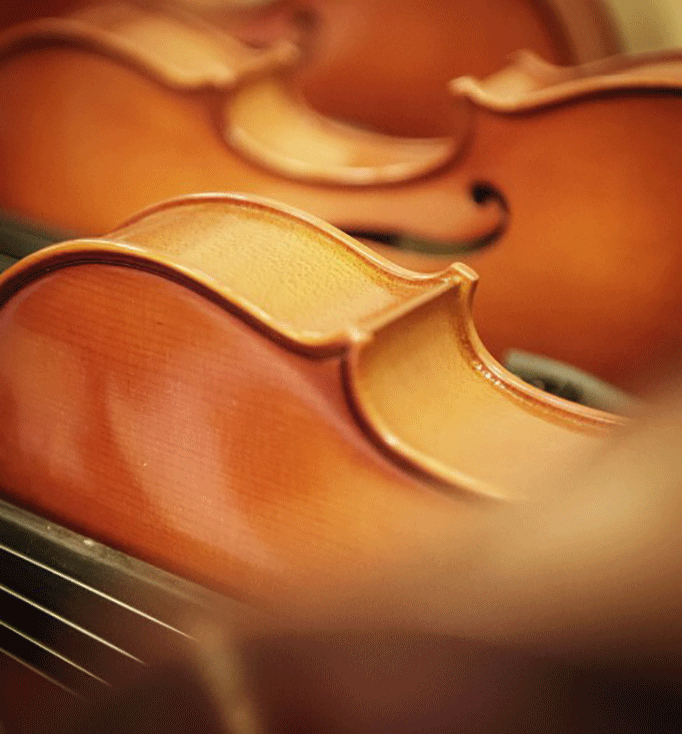 westwing_magazine_philharmonie_10cbeaucardet