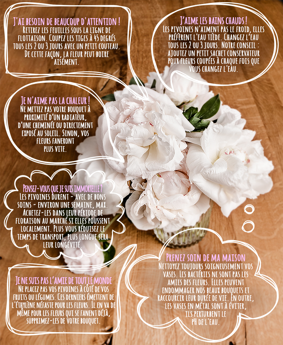 Westwing-pivoines Westwing-pivoines