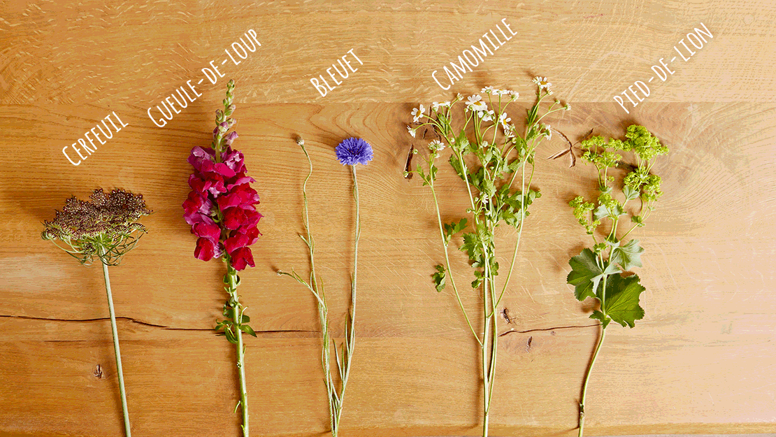 Westwing-DIY-bouquet-juillet Westwing-DIY-bouquet-juillet