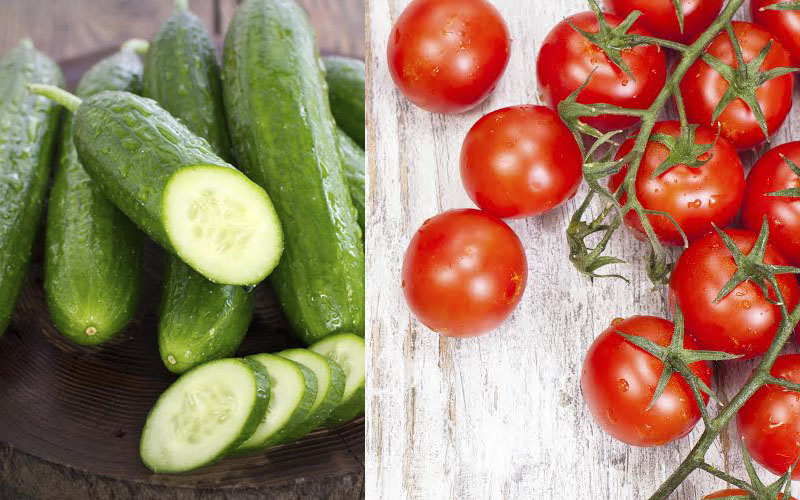 COMPO TOMATES CONCOMBRES