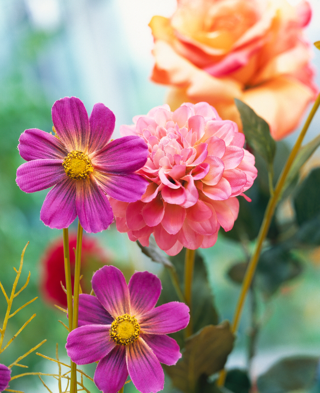 fausses vérités en matières de décoration : fleurs