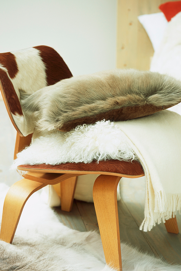 cosy1