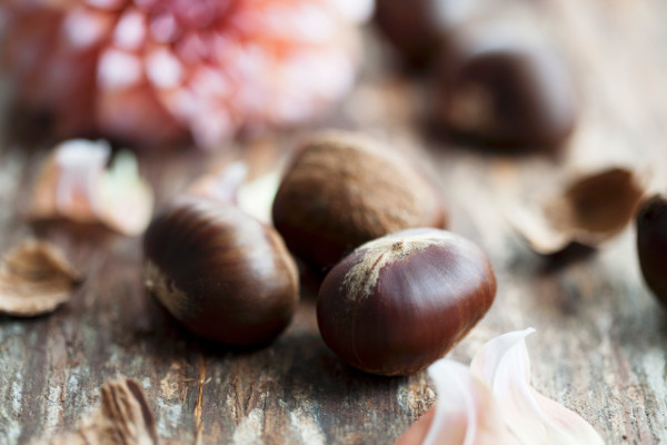 décor de table automnal : marrons