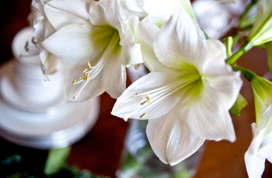 Westwing - Iris Westwing - Iris