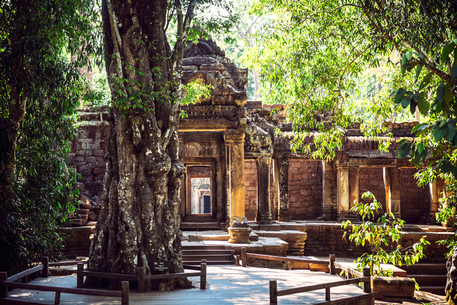 westwing-cambodge westwing-cambodge