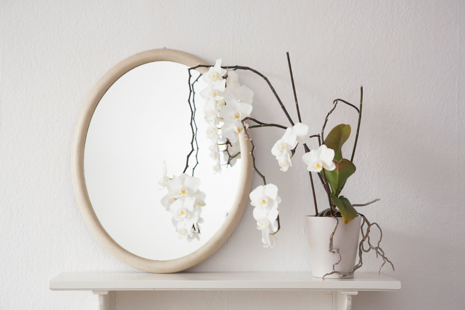 westwing-miroir westwing-miroir