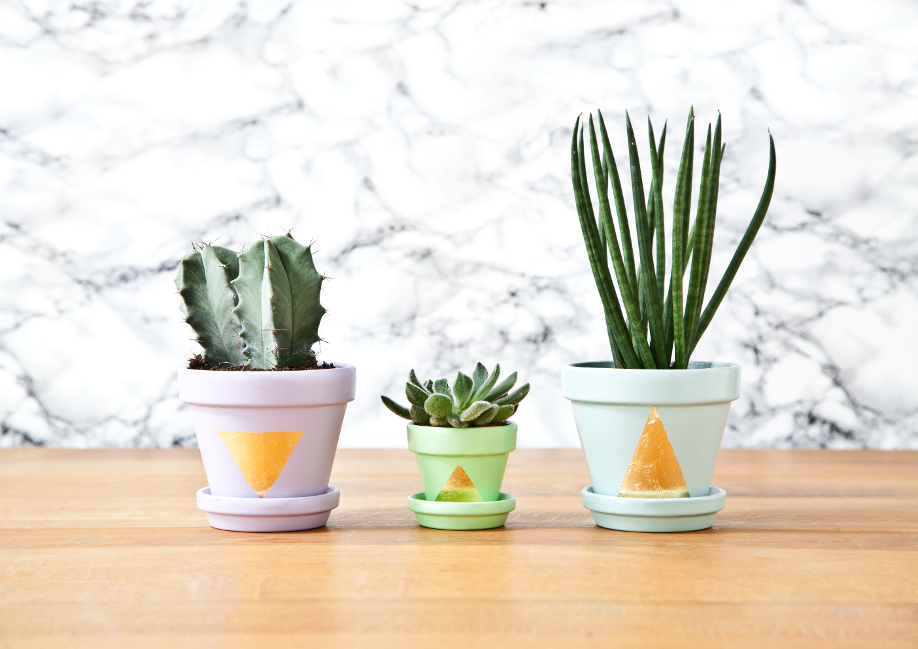 Westwing-pots-de-fleurs Westwing-pots-de-fleurs