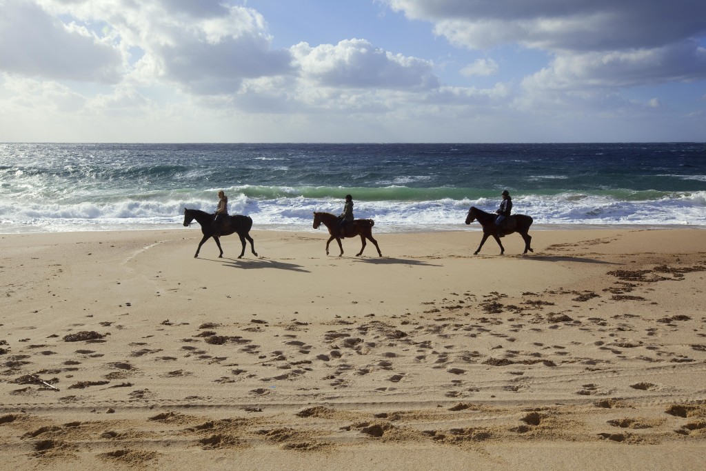 Horse-back-riding_Murtoli