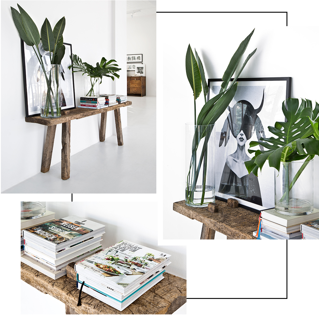 visite-privée-plantes