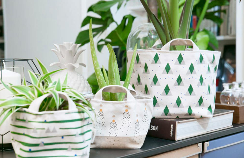 Plantes & Moi : le bien-être en déco