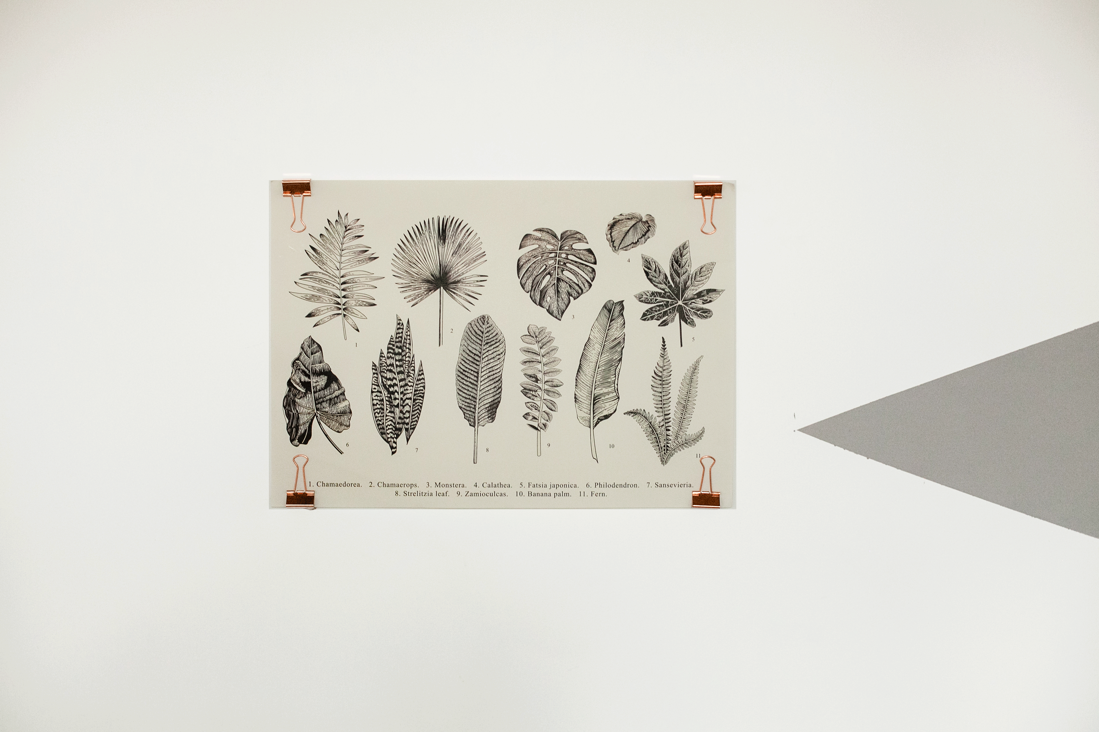 affiche clip mur déco