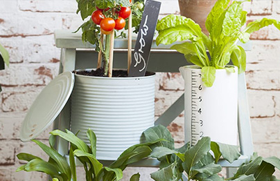 Un potager sur-mesure