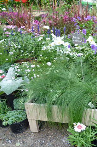 garden garden