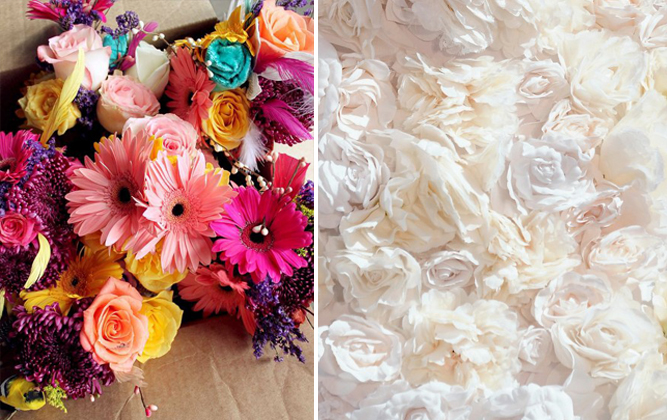 fiori bianchi e colorati fiori bianchi e colorati
