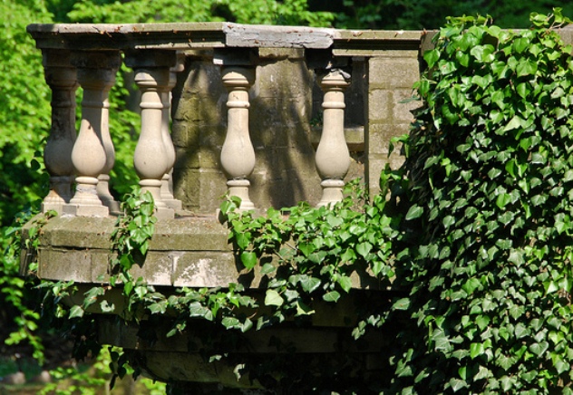 giardino giardino
