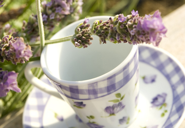 tazze lavanda tazze lavanda