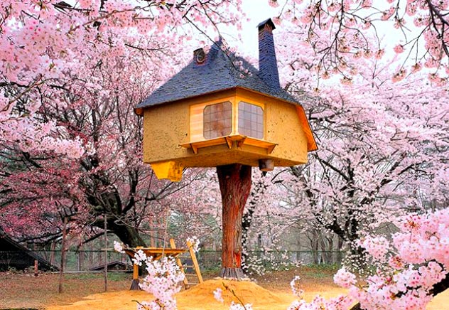 casa sull'albero giapponese casa sull'albero giapponese