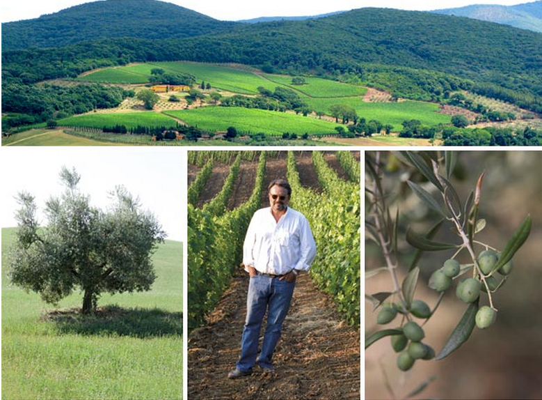 toscani colline toscani colline