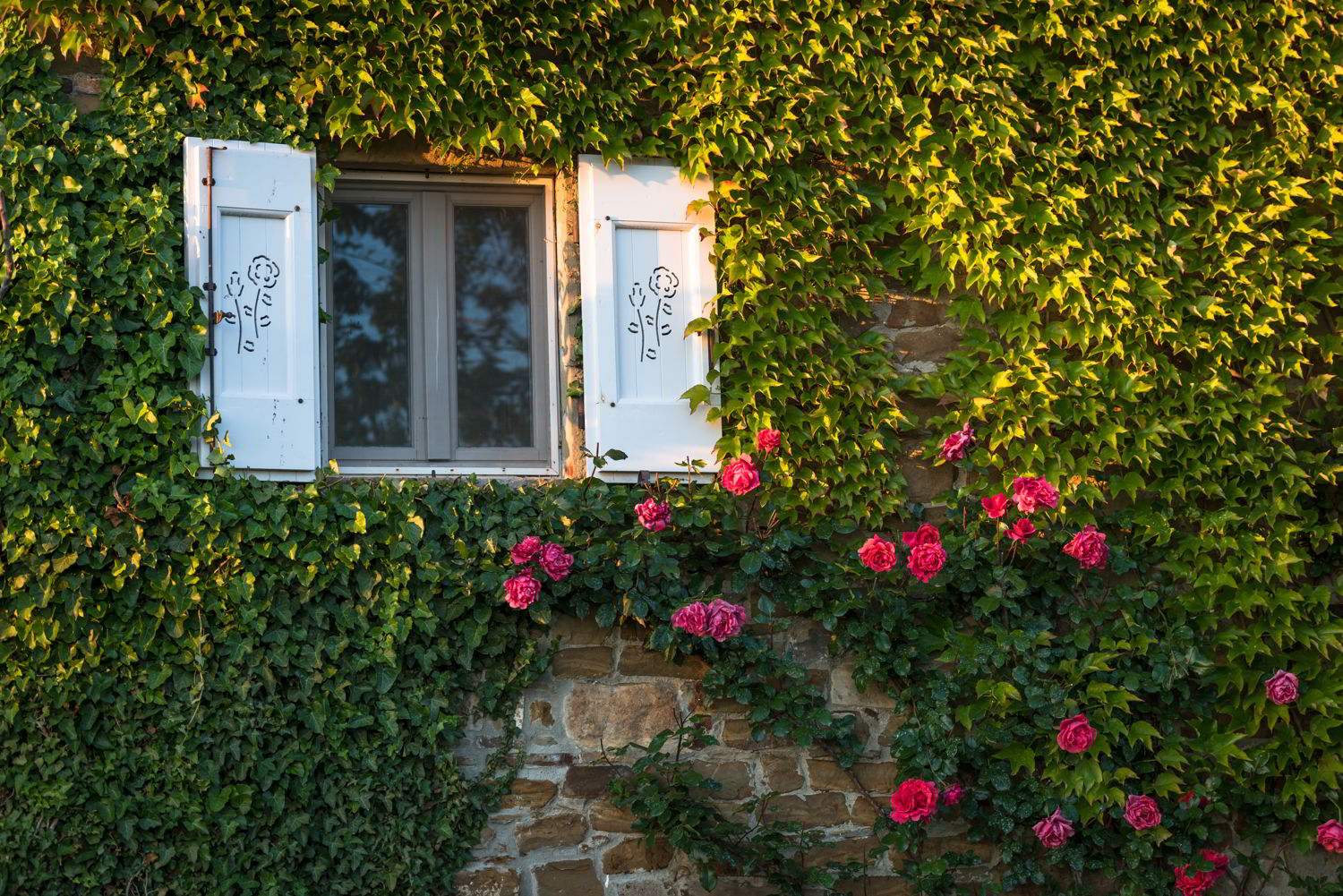 Dalani, Vino, Autunno, Decorazioni, Living, Passione