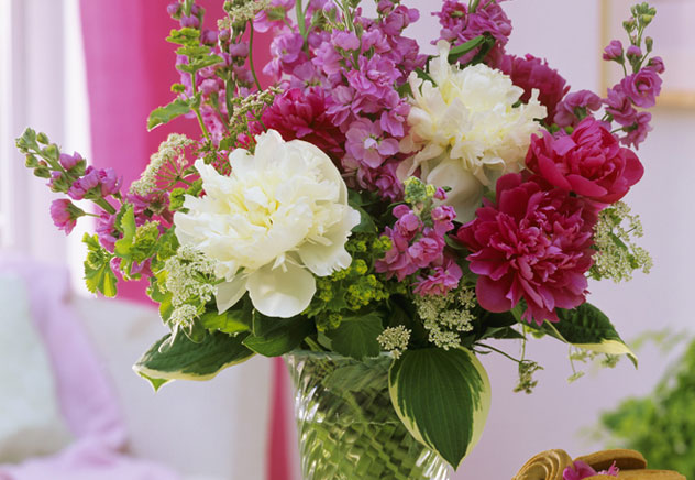 Bouquet Bouquet