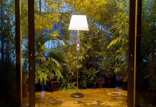 lampada foresta