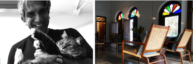 gatto e sedie