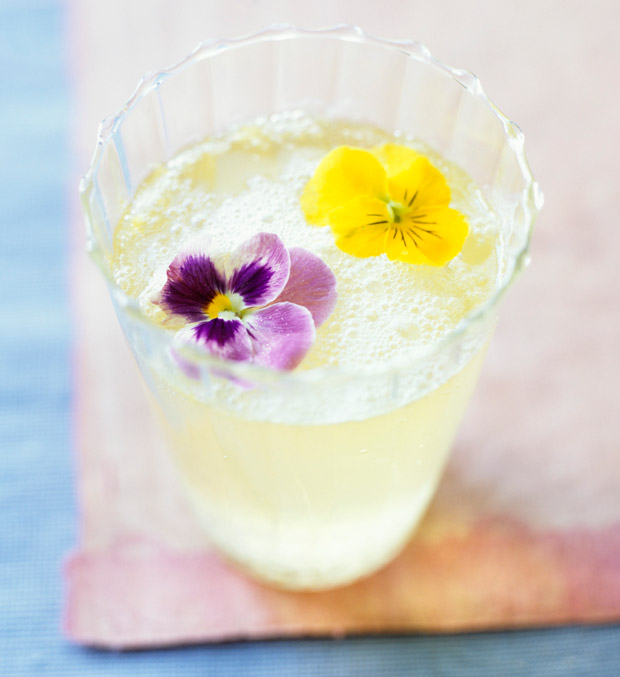 Cocktail b