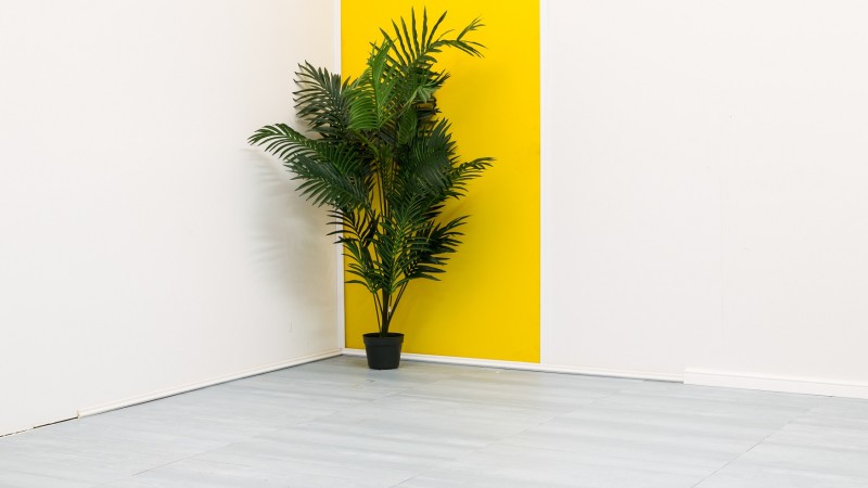 Ufficio, Giallo