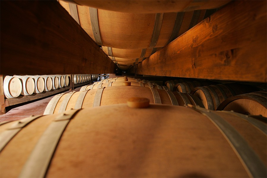 Vino, Sardegna, Made-in-Italy, Fashion