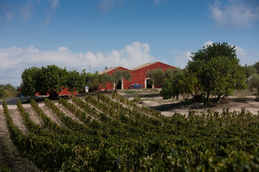 Planeta Planeta, Sicilia, Made-in-Italy, Vino,Casa, Dalani, Mediterraneo