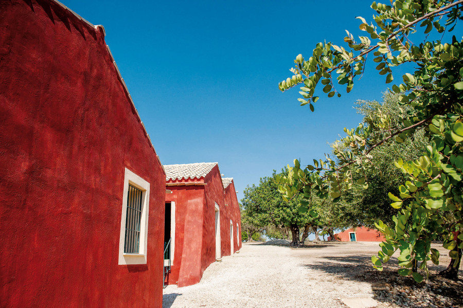 Planeta Planeta, Sicilia, Made-in-Italy, Vino, Casa, Dalani, Mediterraneo