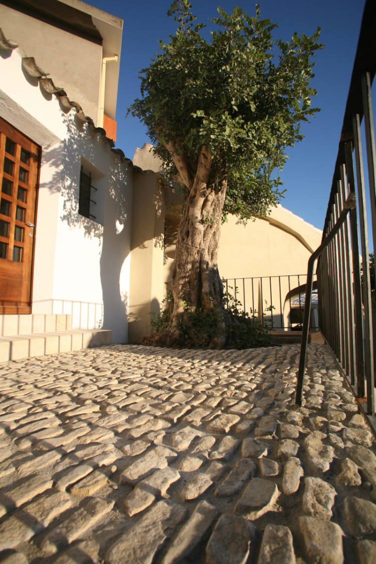 Vino, Dalani, Sardegna, Made-in-Italy