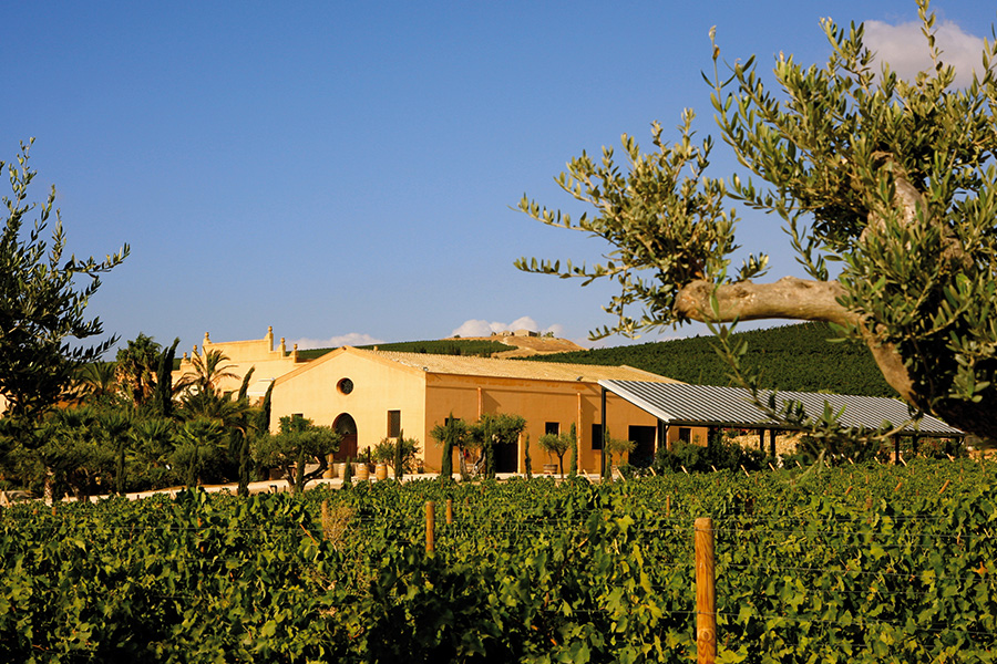 Vino, Sicilia, Dalani, Made-in-Italy, Mediterraneo