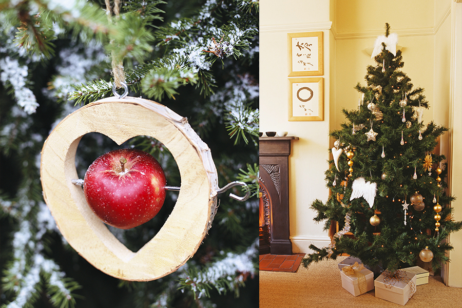 Feste Feste, Dalani, Colori, Ispirazioni, fai-da-te, Idee, Natale