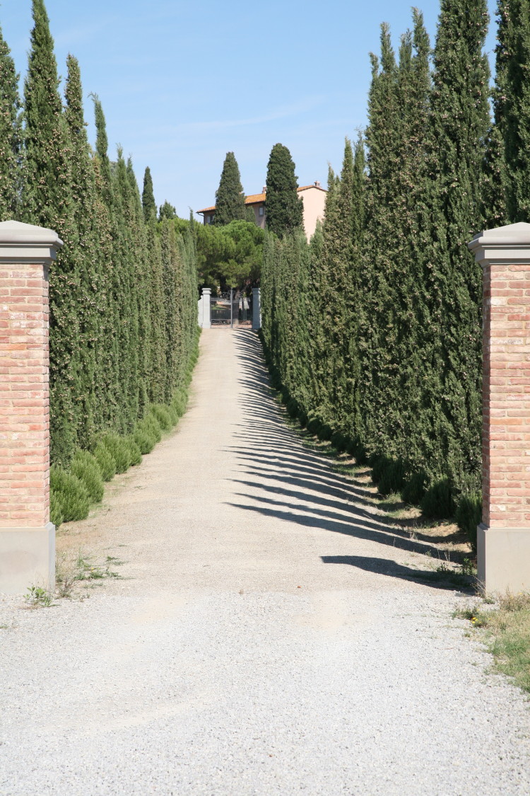 Villa Loggio Villa-Loggio, Toscana, Villa, Vino, Primavera, Arte, Fiori, Relax, Weekend, Dalani